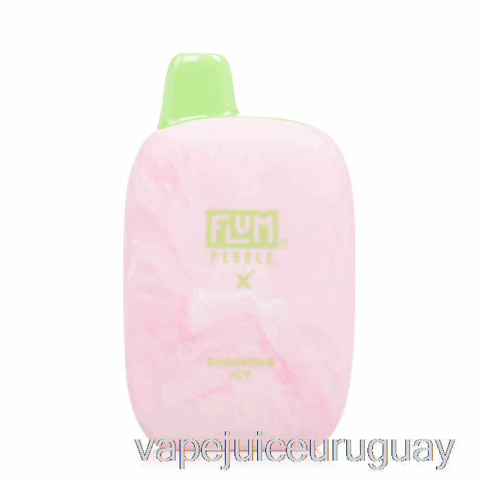 Flum Pebble X 6000 Vape Desechable Sunshine Icy Uruguay